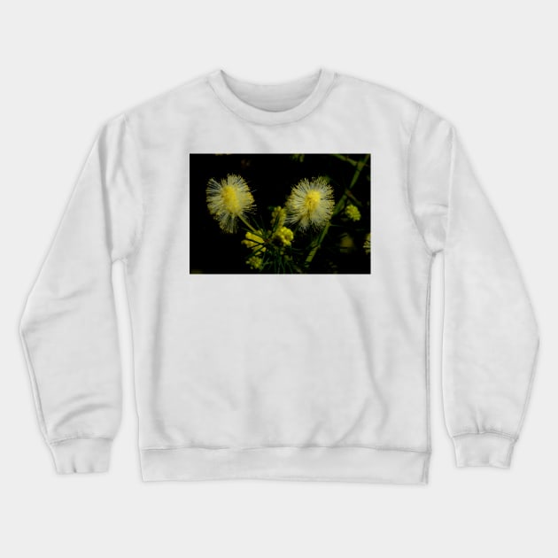 Prickly Moses Crewneck Sweatshirt by GP1746